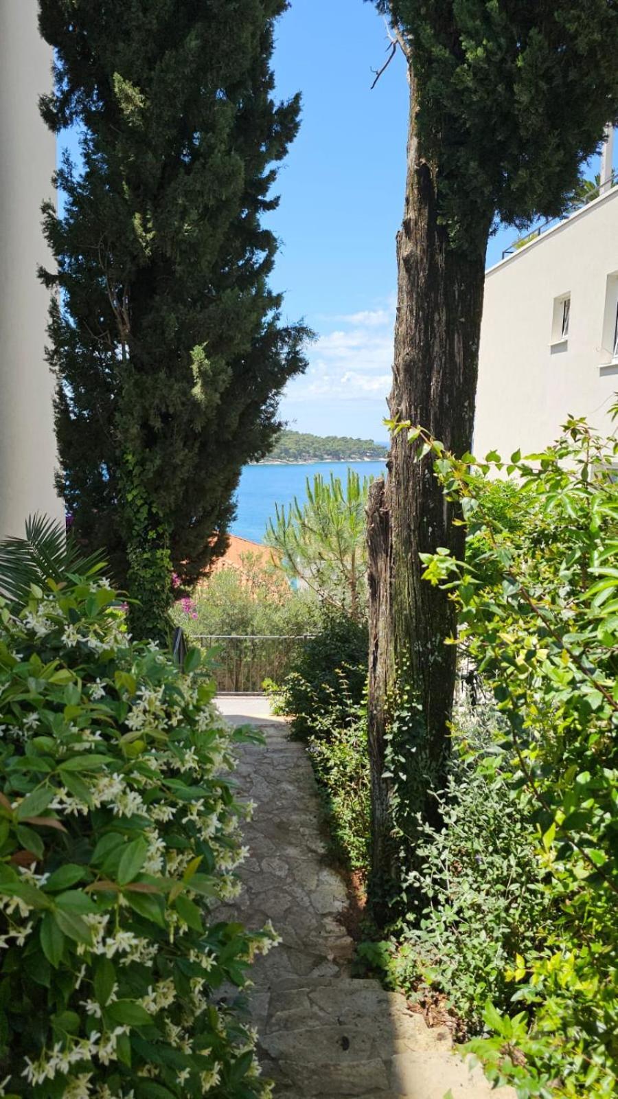 Residence Alpha Apartments Cavtat Eksteriør billede