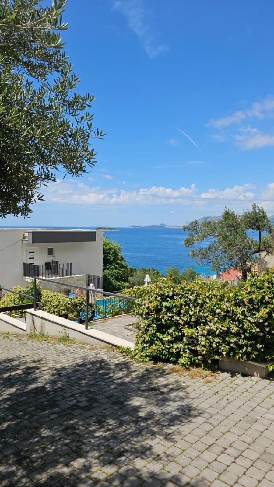 Residence Alpha Apartments Cavtat Eksteriør billede